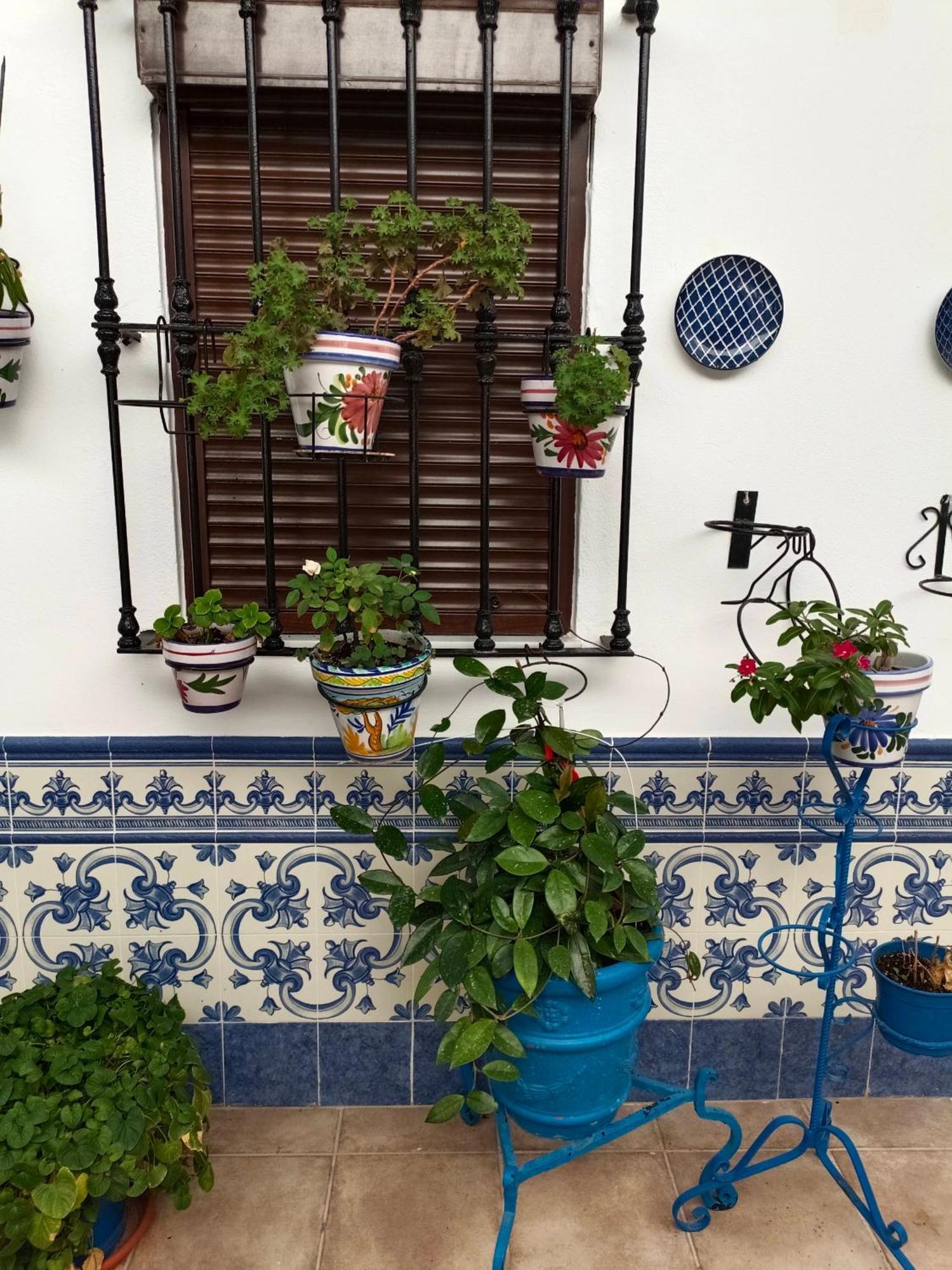 Casa Rural Patio Rociero El Rocío Εξωτερικό φωτογραφία